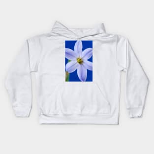 Ipheion  &#39;Rolf Fiedler&#39;  AGM  Spring starflower Kids Hoodie